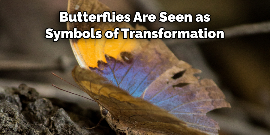 Butterflies Are Seen as 
Symbols of Transformation