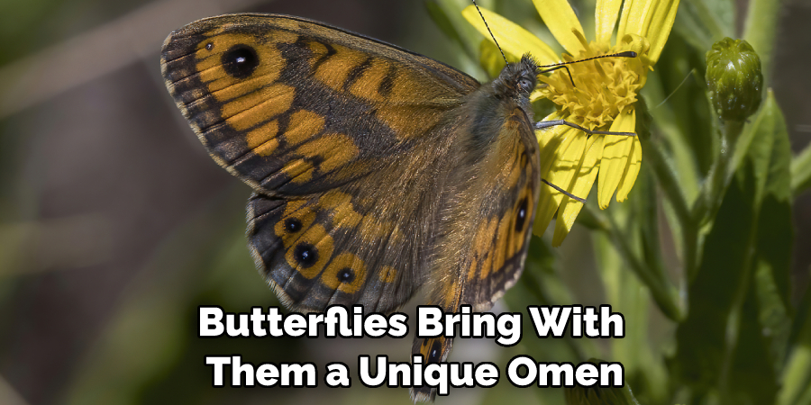 Butterflies Bring With Them a Unique Omen