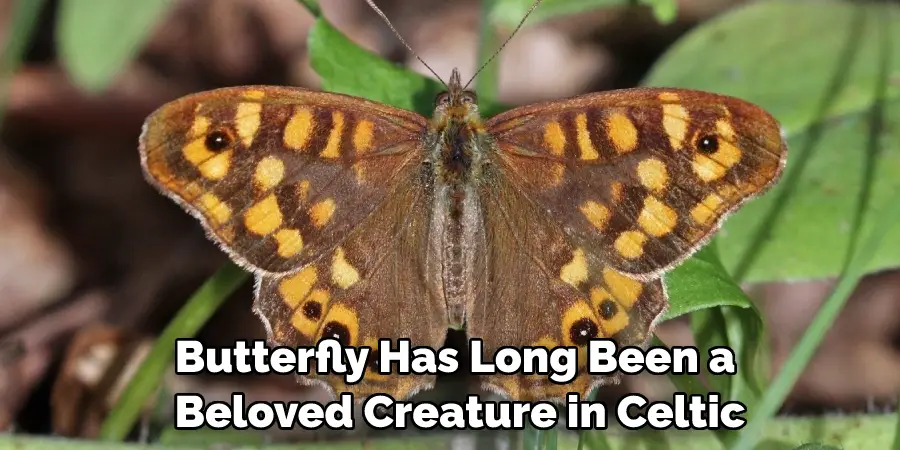 Butterfly Has Long Been a Beloved Creature in Celtic