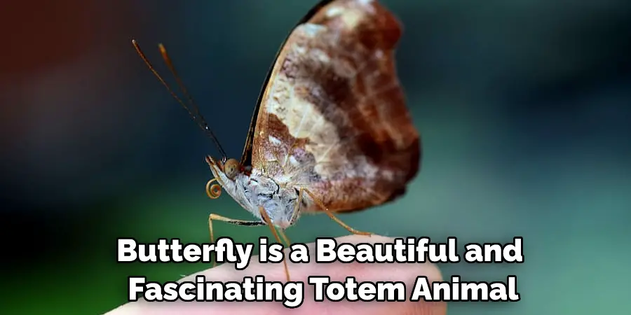 Butterfly is a Beautiful and Fascinating Totem Animal