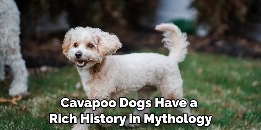 Cavapoo Dogs Have a Rich History in Mythology
