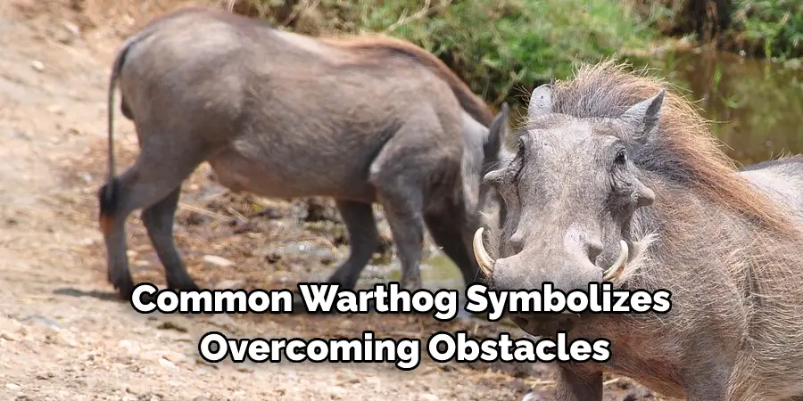 Common Warthog Symbolizes 
Overcoming Obstacles