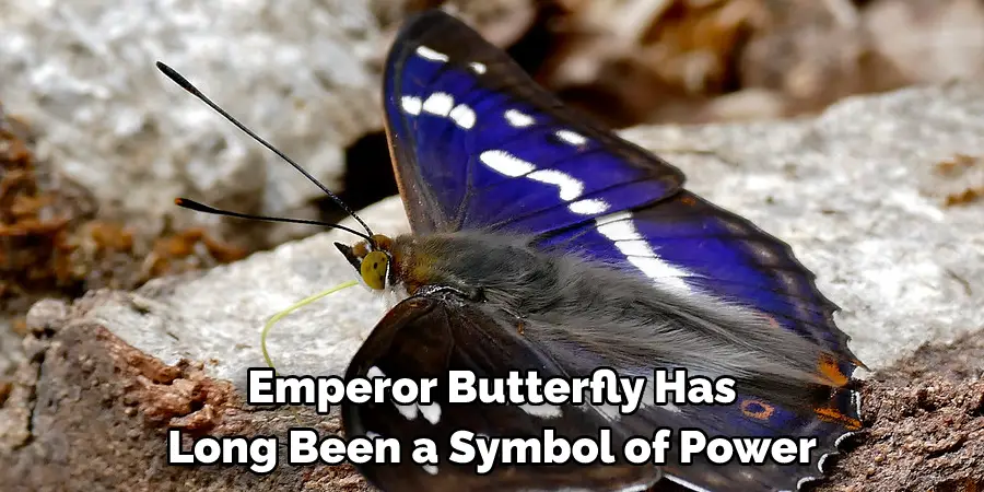 Emperor Butterfly Has 
Long Been a Symbol of Power 