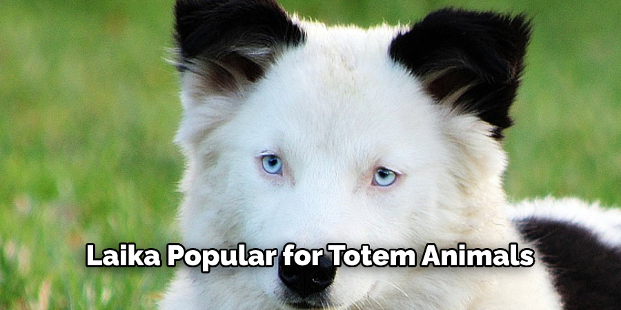 Laika Popular for Totem Animals