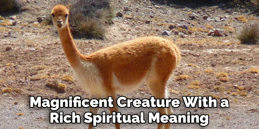 Magnificent Creature With a Rich Spiritual Meaning