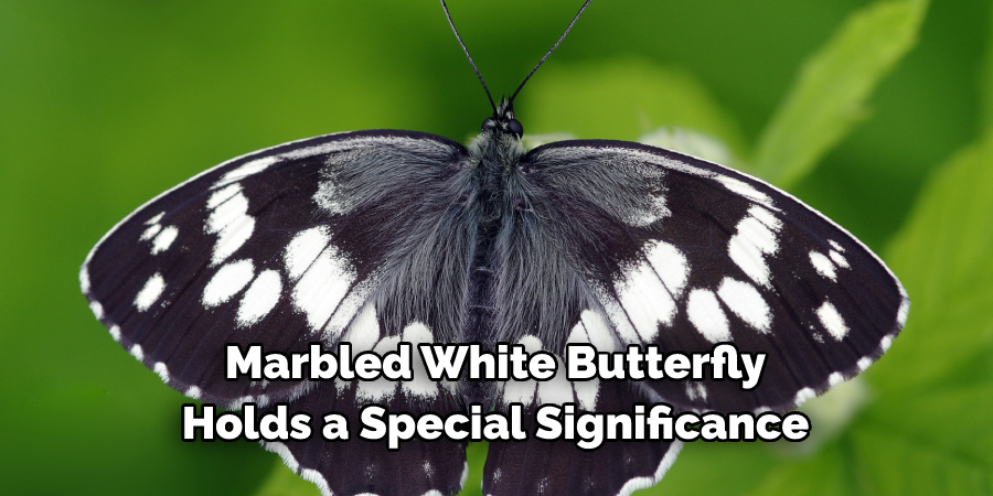 Marbled White Butterfly 
Holds a Special Significance