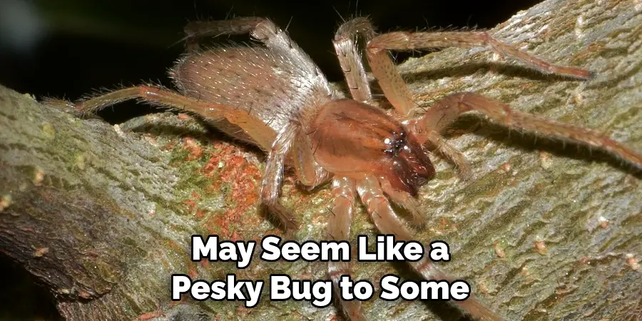  May Seem Like a 
Pesky Bug to Some