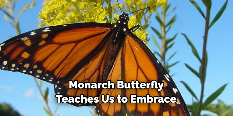 Monarch Butterfly
Teaches Us to Embrace