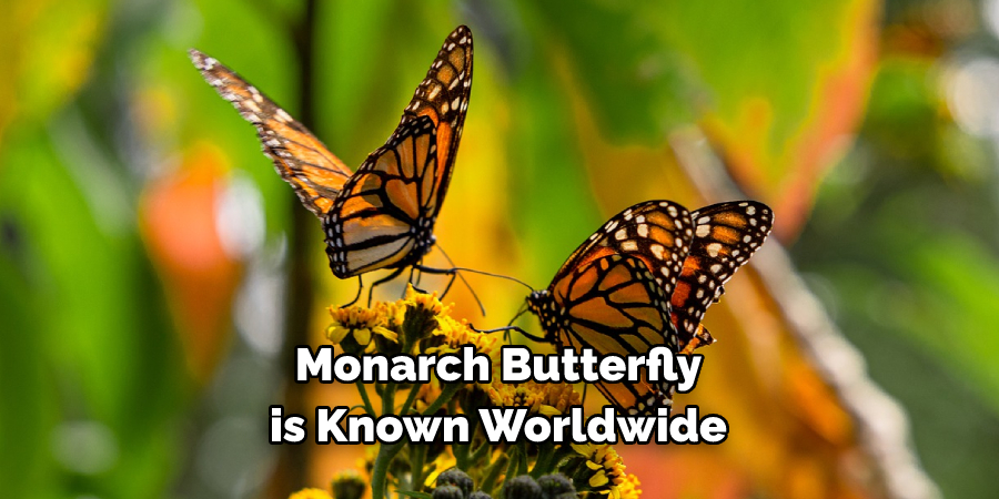 Monarch Butterfly 
is Known Worldwide