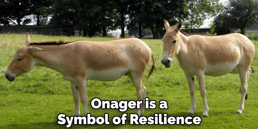 Onager is a Symbol of Resilience