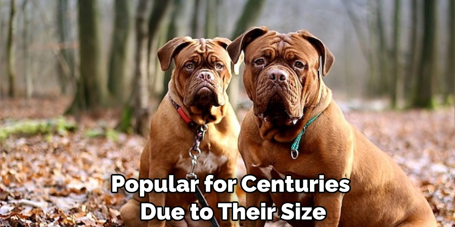 Popular for Centuries Due to Their Size