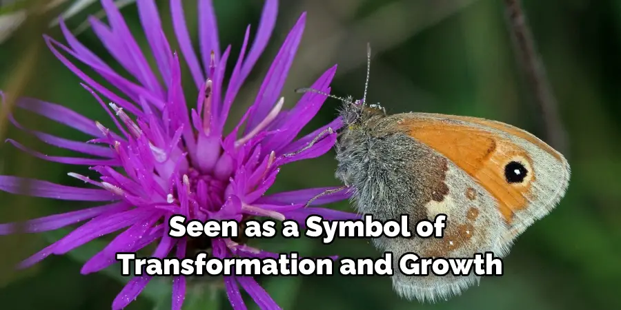 Seen as a Symbol of 
Transformation and Growth