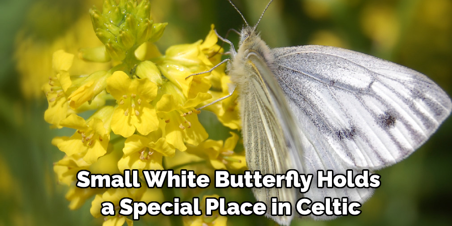 Small White Butterfly Holds a Special Place in Celtic