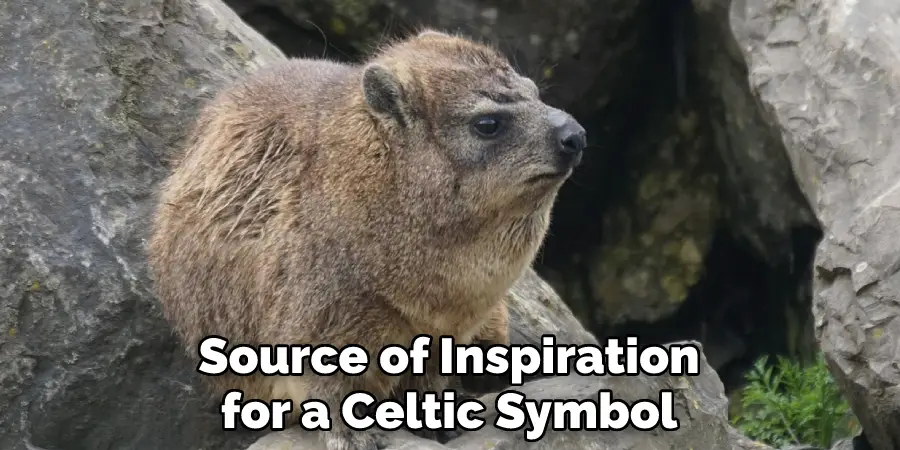 Source of Inspiration for a Celtic Symbol