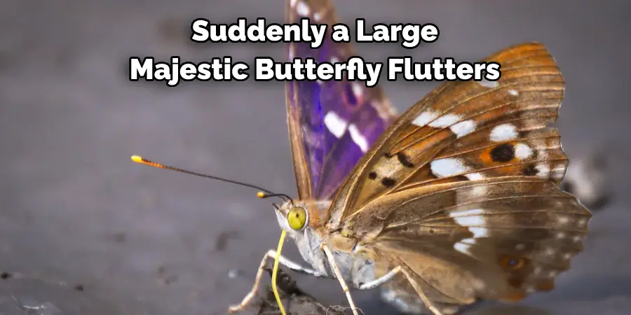 Suddenly, a Large, 
Majestic Butterfly Flutters