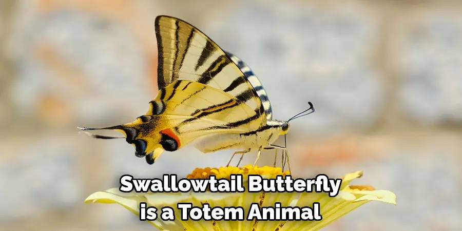 Swallowtail Butterfly 
is a Totem Animal