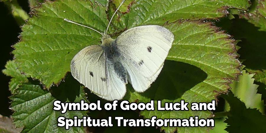 Symbol of Good Luck and Spiritual Transformation