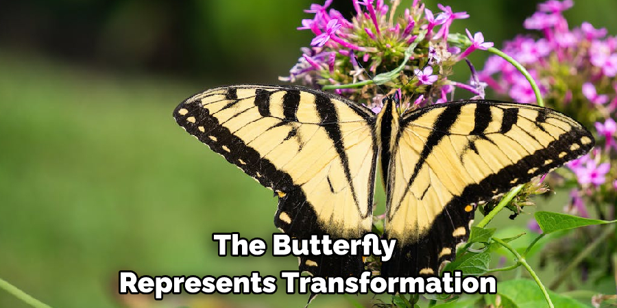 The Butterfly Represents Transformation