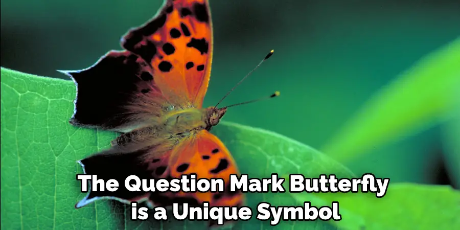 The Question Mark Butterfly is a Unique Symbol