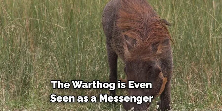 The Warthog is Even 
Seen as a Messenger