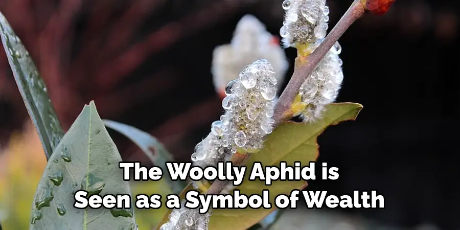 The Woolly Aphid is 
Seen as a Symbol of Wealth