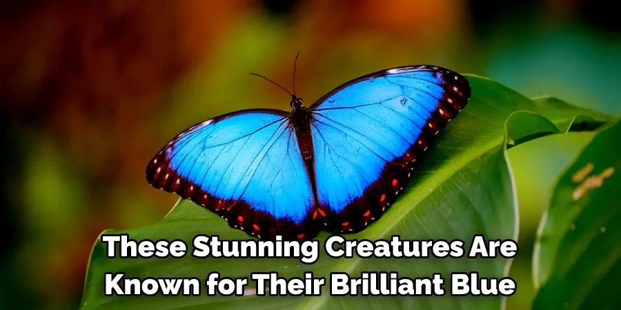 These Stunning Creatures Are 
Known for Their Brilliant Blue