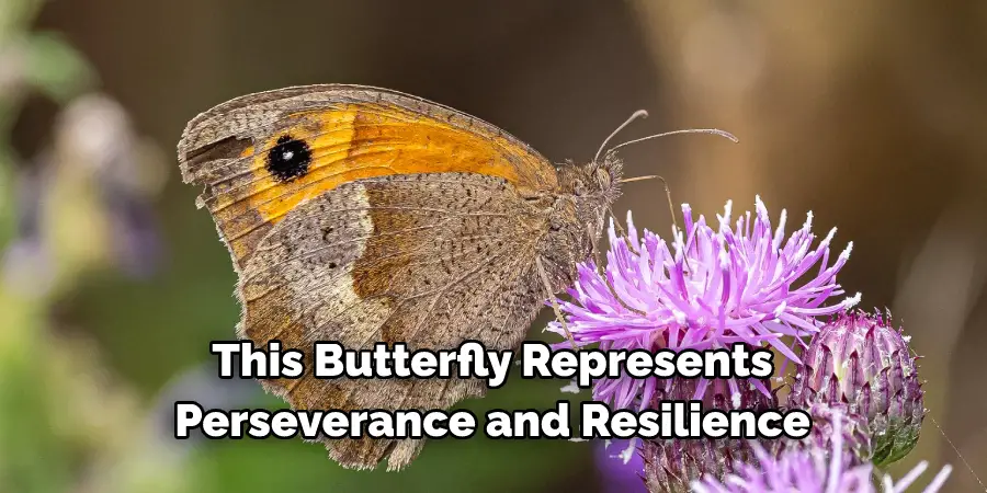 This Butterfly Represents
Perseverance and Resilience