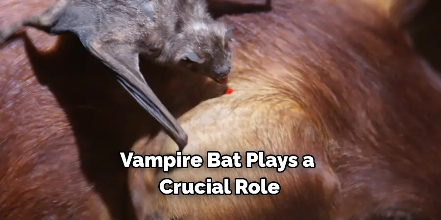 Vampire Bat Plays a Crucial Role