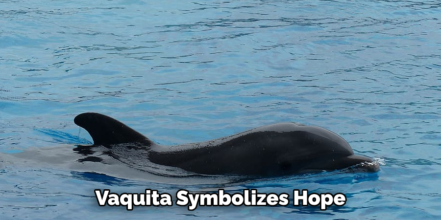 Vaquita Symbolizes Hope