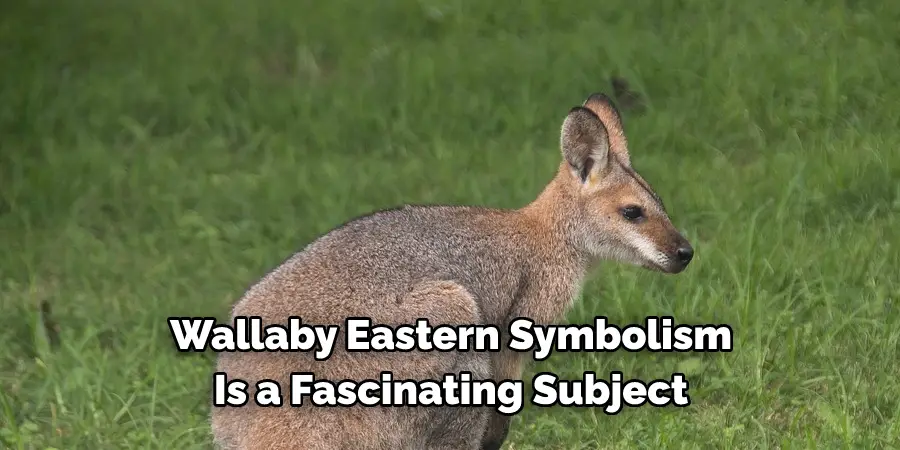 Wallaby Eastern Symbolism 
Is a Fascinating Subject