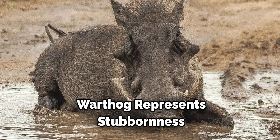 Warthog Represents Stubbornness