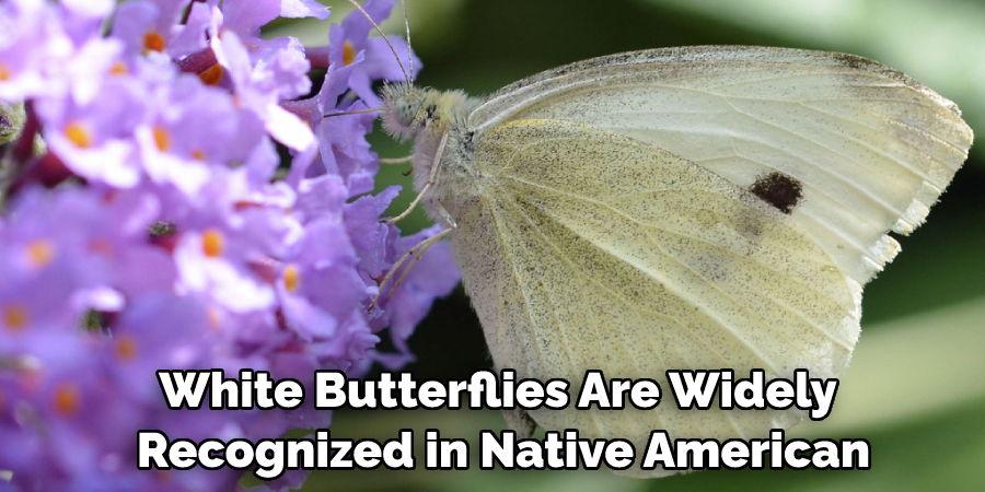 White Butterflies Are Widely Recognized in Native American