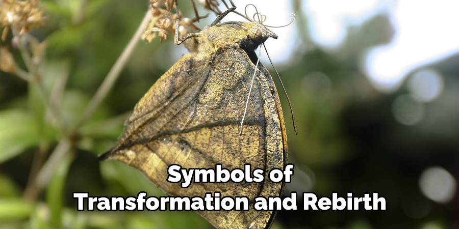 symbols of transformation and rebirth