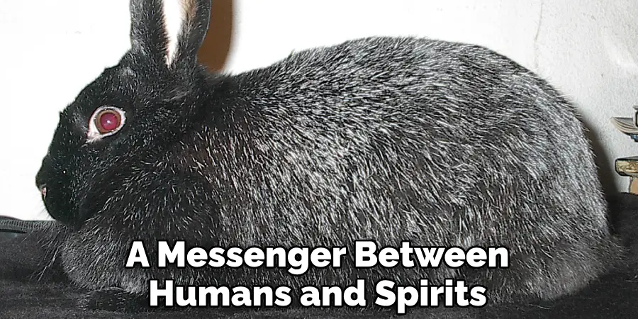 A Messenger Between Humans and Spirits