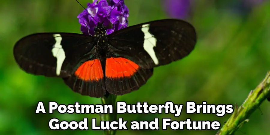 A Postman Butterfly Brings Good Luck and Fortune