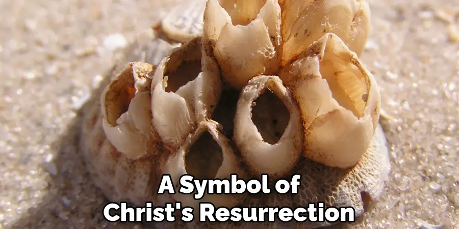 A Symbol of Christ's Resurrection