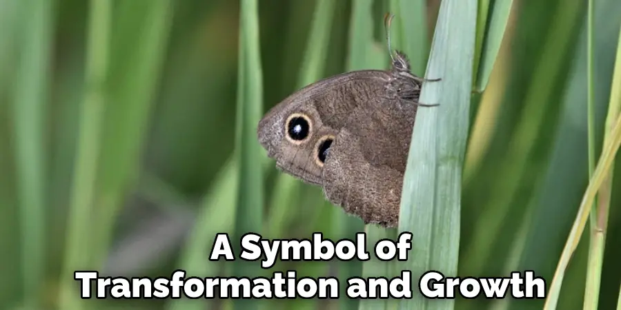 A Symbol of
Transformation and Growth