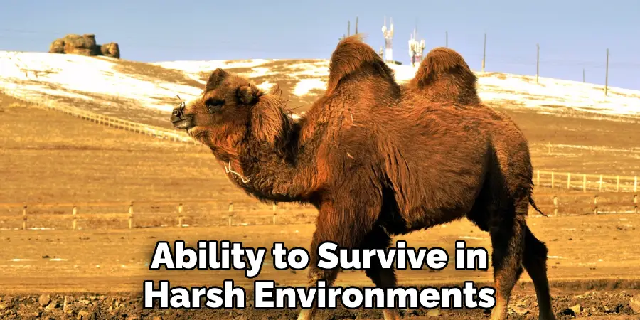 Ability to Survive in Harsh Environments