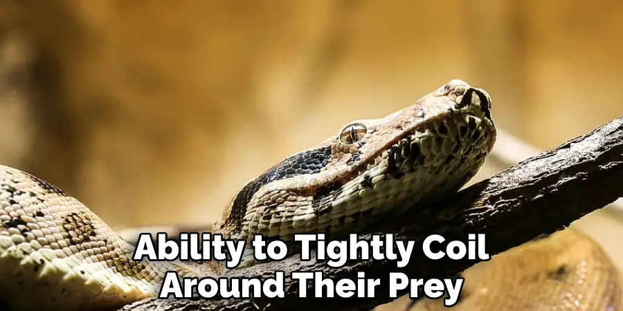 Ability to Tightly Coil Around Their Prey