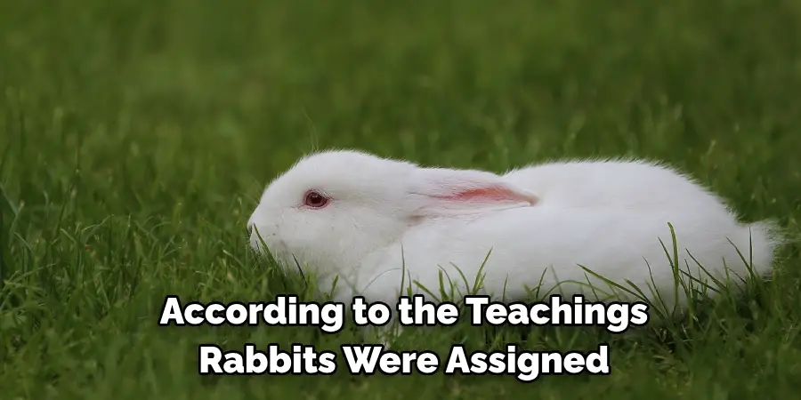  According to the Teachings
Rabbits Were Assigned 