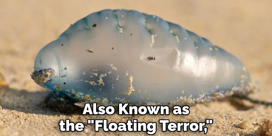 Also Known as the "Floating Terror,"