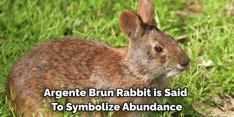  Argente Brun Rabbit is Said 
To Symbolize Abundance