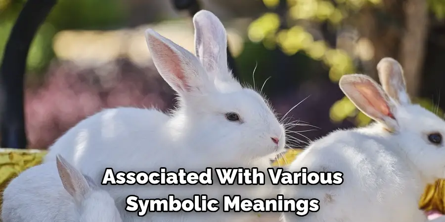 Associated With Various 
Symbolic Meanings