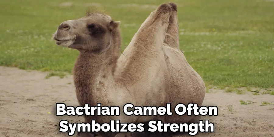Bactrian Camel Often Symbolizes Strength