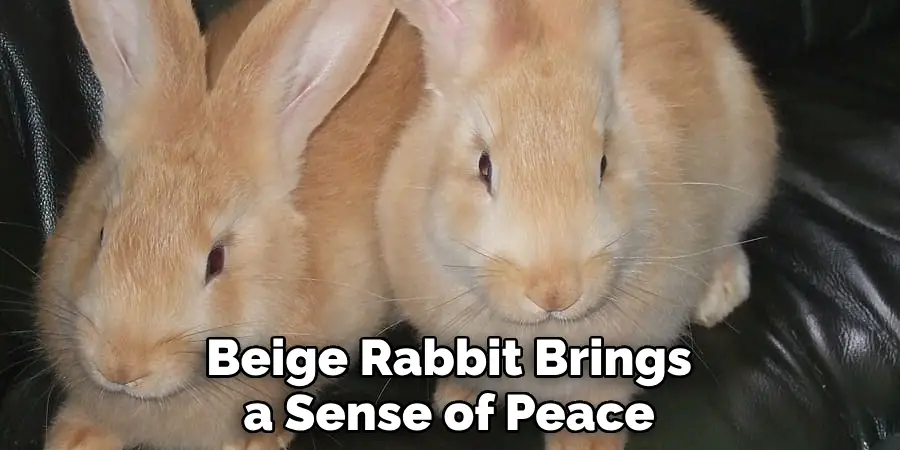 Beige Rabbit Brings a Sense of Peace