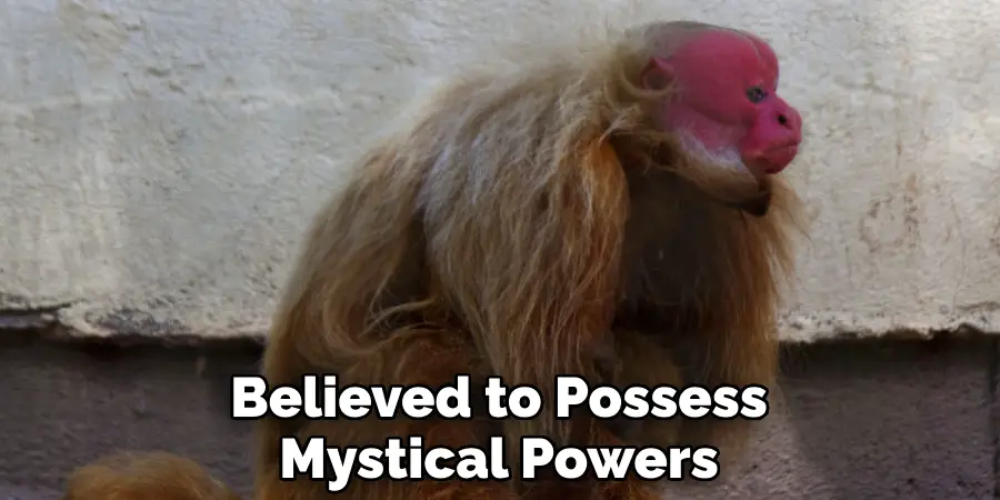 Believed to Possess Mystical Powers