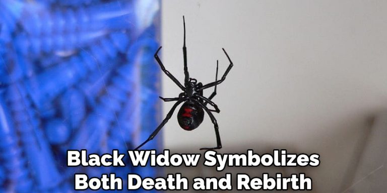 Black Widow Spider Spiritual Meaning, Symbolism and Totem (2025)
