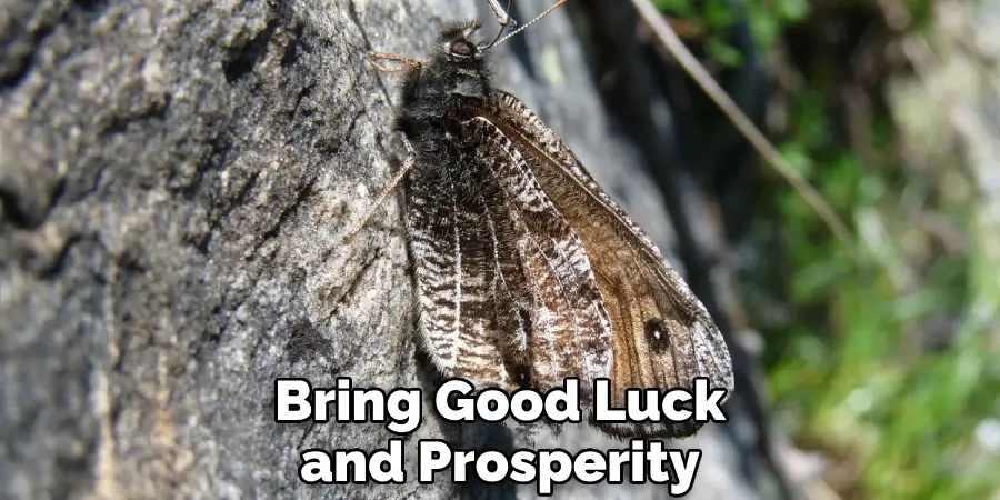 Bring Good Luck and Prosperity