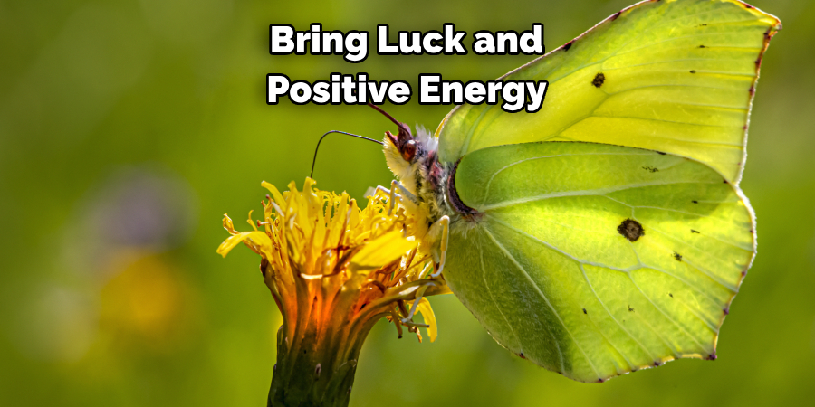 Bring Luck and Positive Energy