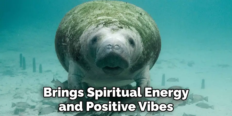 Brings Spiritual Energy and Positive Vibes